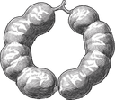 Mudita logo